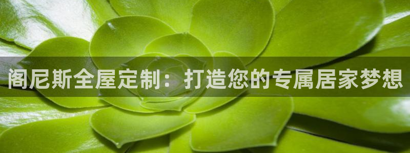BB电子骗局