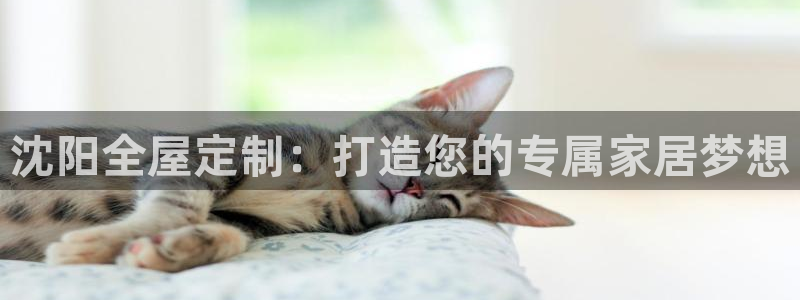 bb电子教育平台