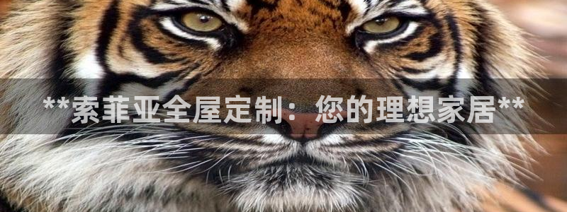 BB电子什么时候容易爆大奖
