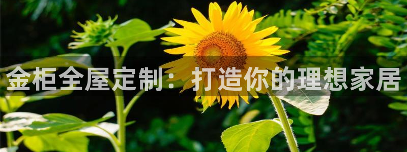 网上bb电子为什么那么假的