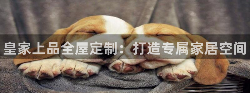 bb电子哪个平台好啊