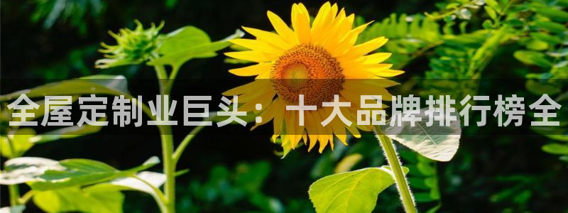 BB电子骗局