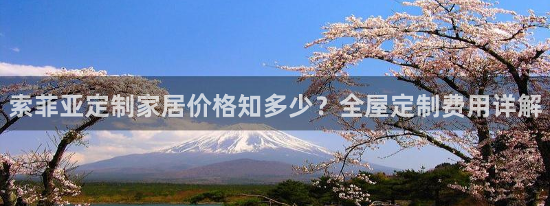 BB电子哪个平台好出款