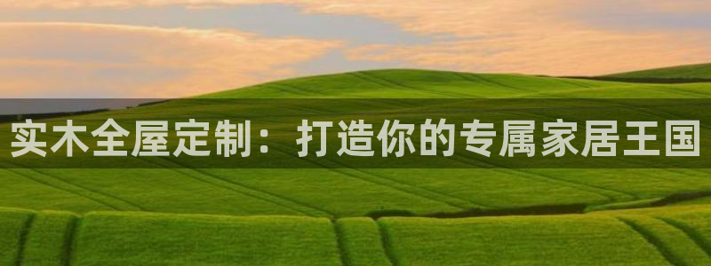 bb电子怎么英语怎么说