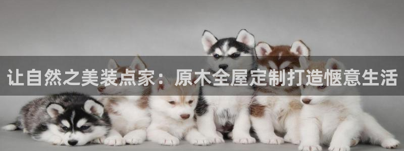 bb电子怎么样