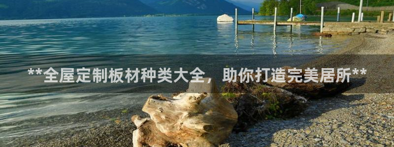 BB电子骗局