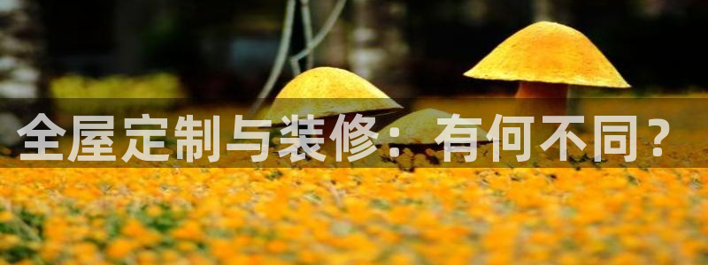 bb电子哪个平台好点