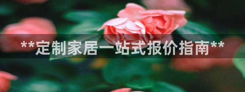 bb电子哪个平台好一点