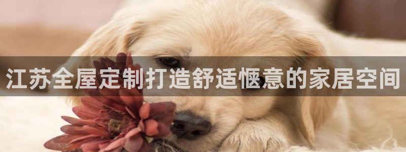 BB电子哪个平台好出款