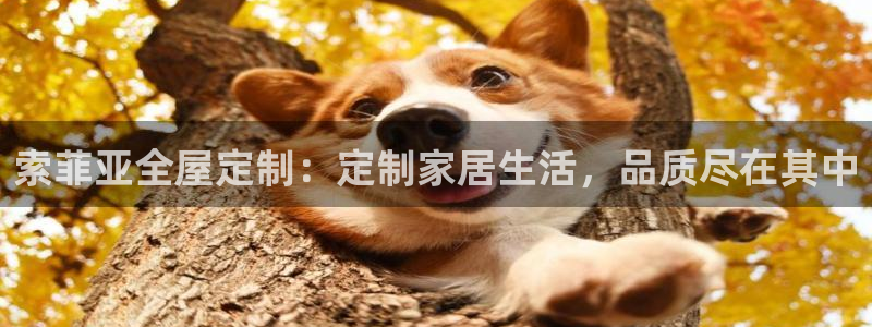 BB电子烟官网