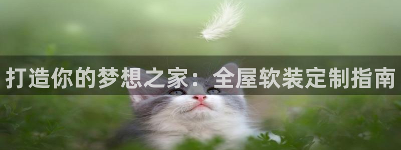 bb电子哪个平台好