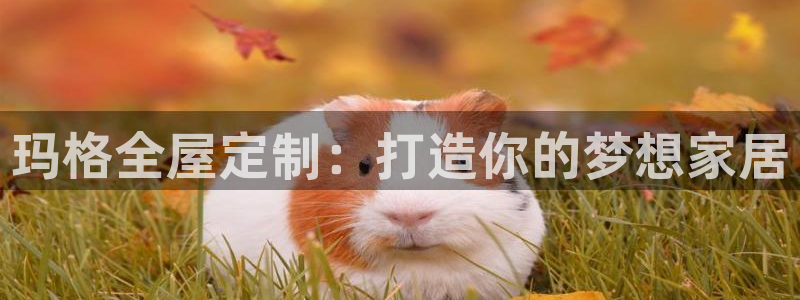 BB电子烟官网