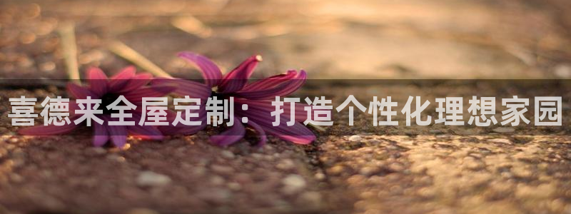 bB电子琴和弦