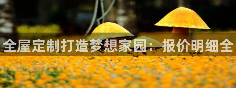 bb电子哪个平台好出款啊