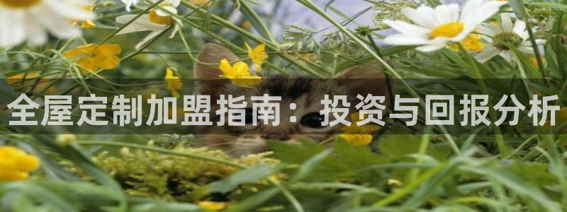 bb电子哪个平台好啊