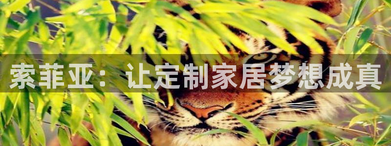 BB电子骗局