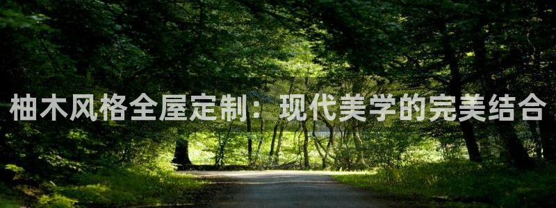 bB电子琴和弦