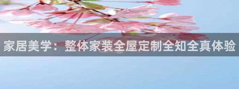 bb电子哪个平台好用