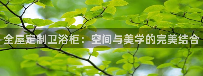 bb电子最简单设置方法