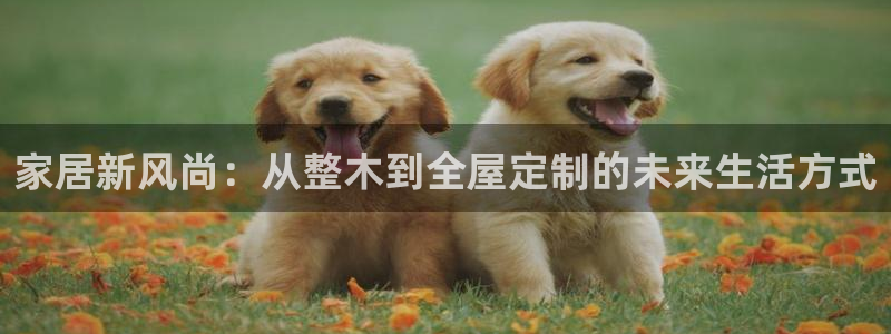 bb电子怎么赢