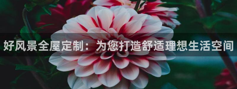 bb电子怎么英语怎么说