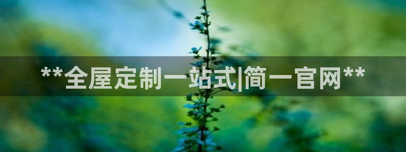 bb电子哪个平台好用