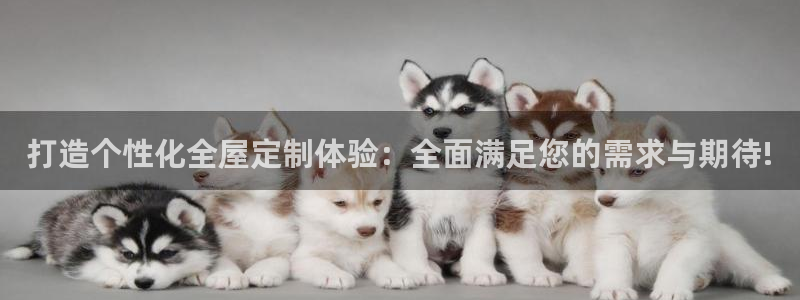 bb电子哪个平台好啊