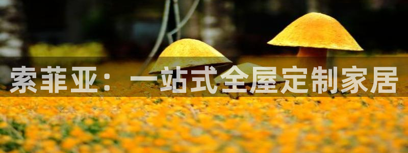 Bb电子琴和弦是哪个