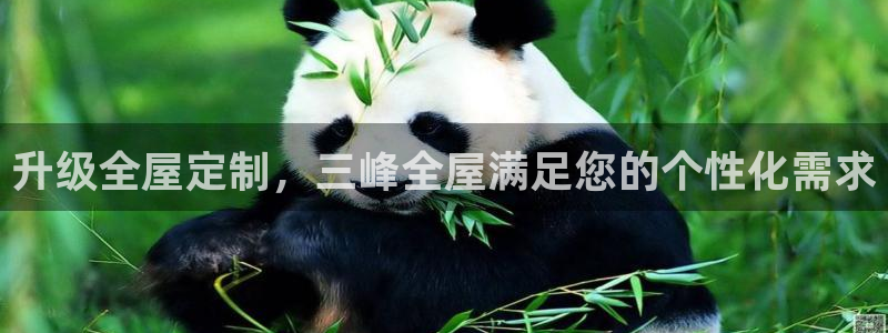 bb电子官网登录