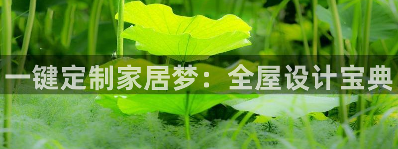 网上bb电子为什么那么假的