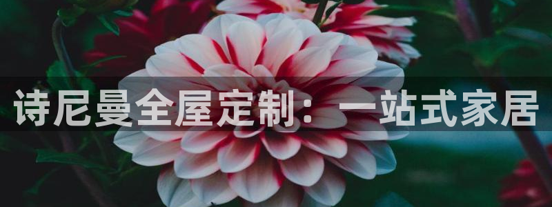 bb电子哪个游戏好赢钱一点