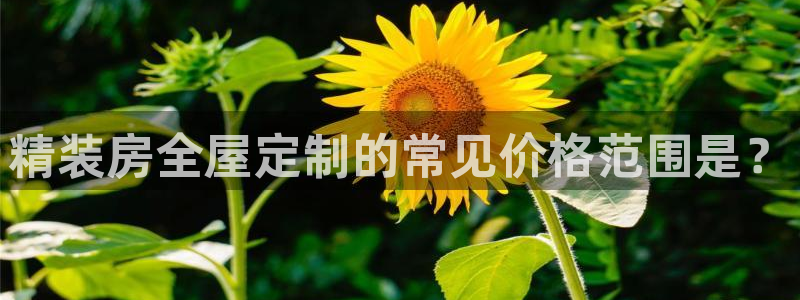 bb电子什么游戏好赢一点