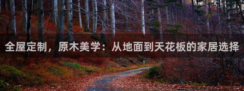 bb电子哪个平台好点