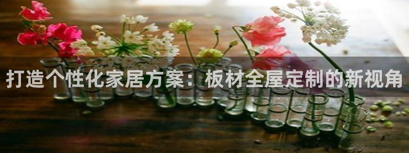 bb电子哪个平台好用一点