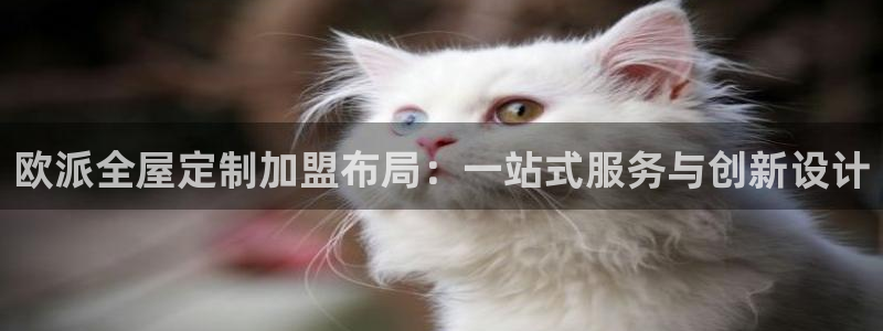 bb电子哪个平台好用点